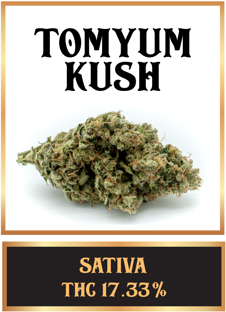 Tom yum kush cannabis