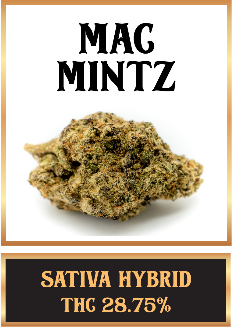 mac mintz cannabis