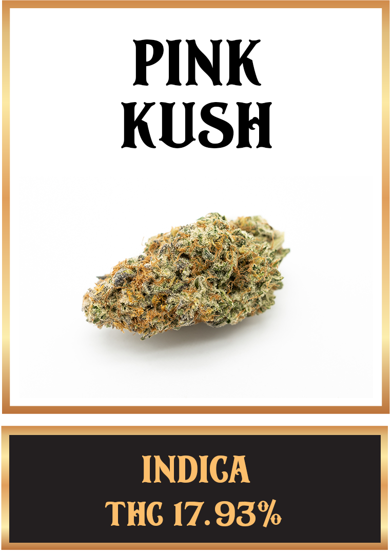 pink kush cannabis