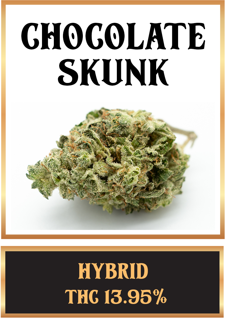 chocolate skunk cannabis