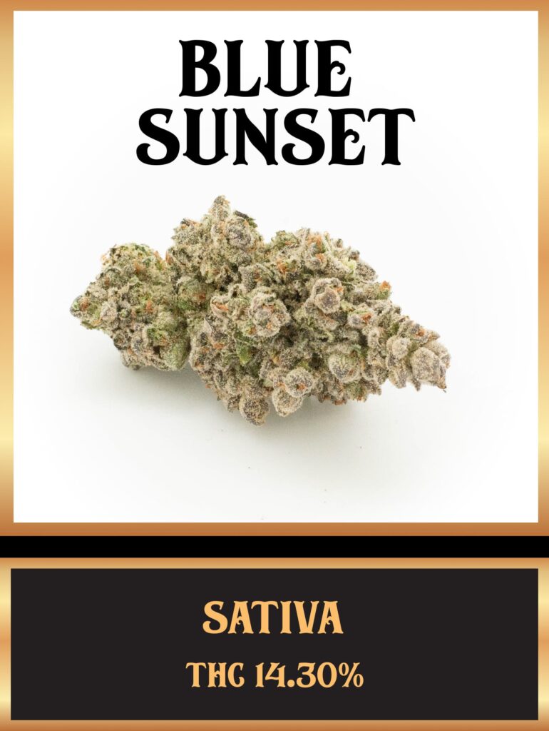 Blue Sunset Strain