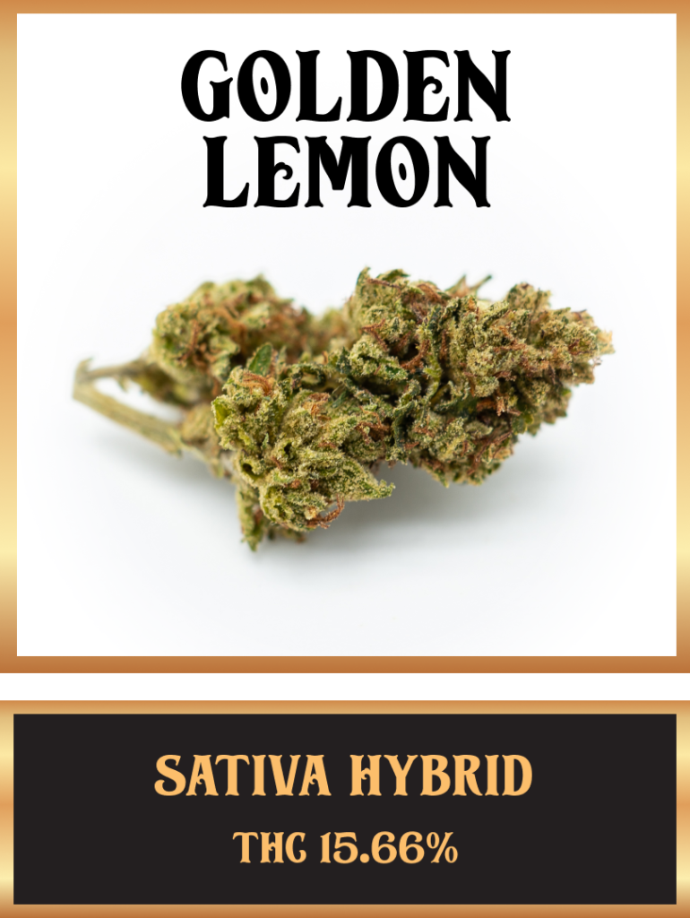 Golden Lemon Strain