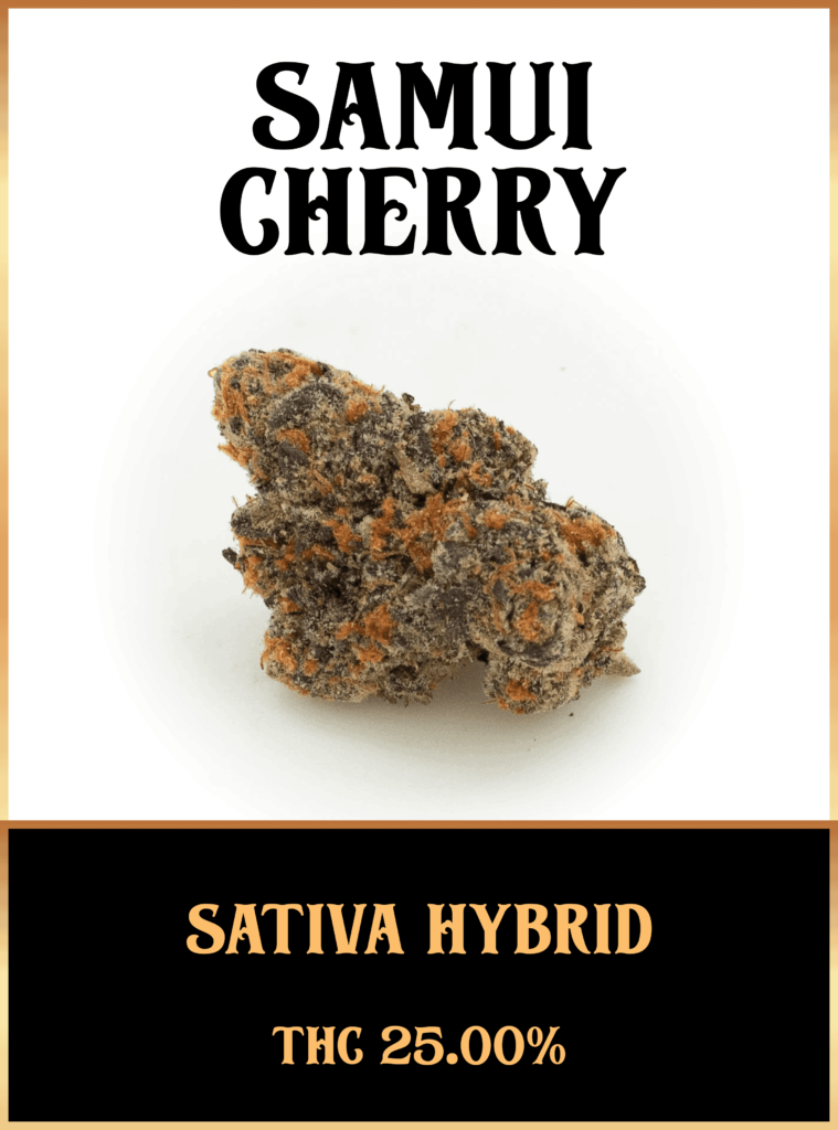 Samui Cherry