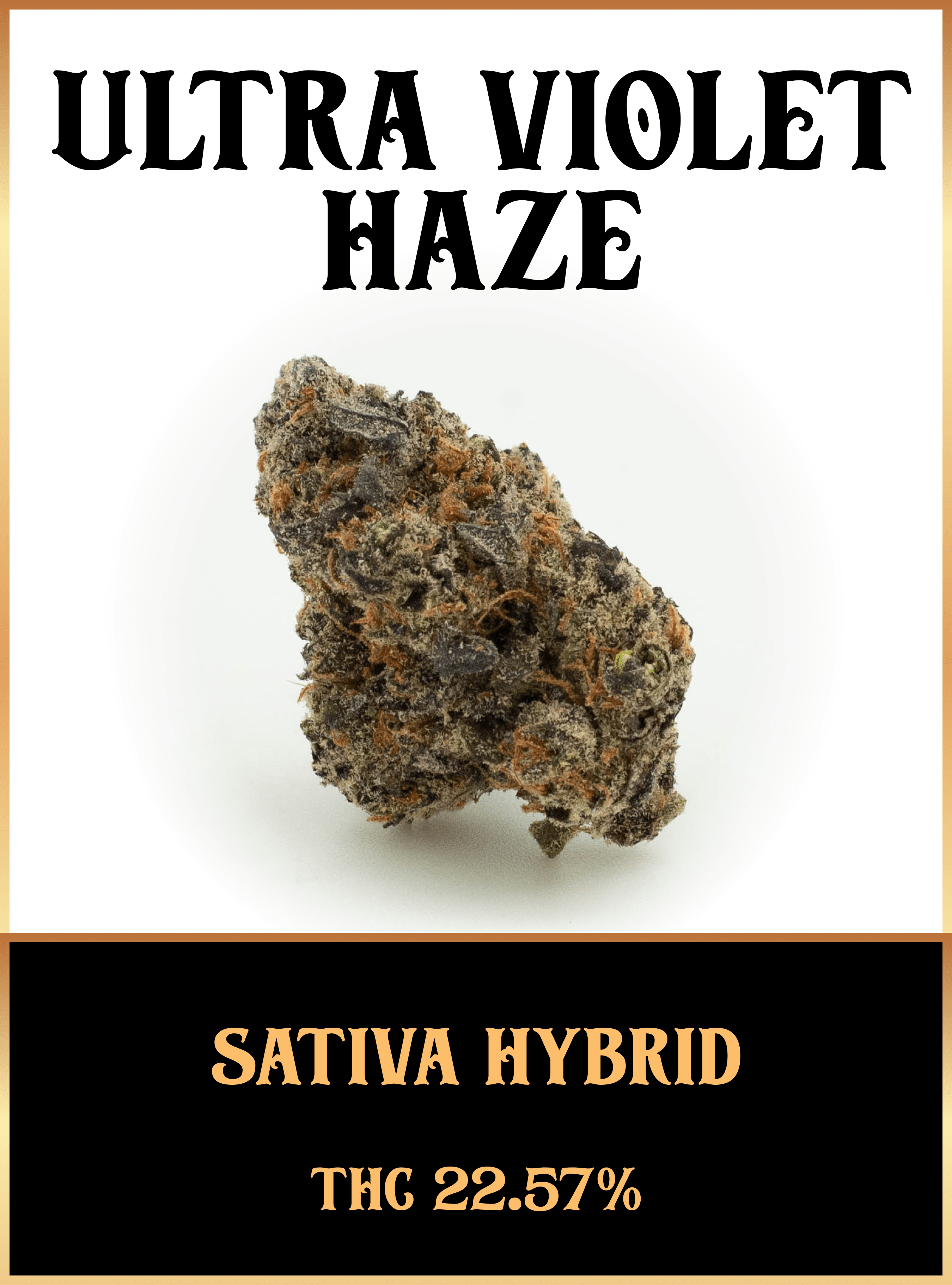 Ultra Violet Haze Strain