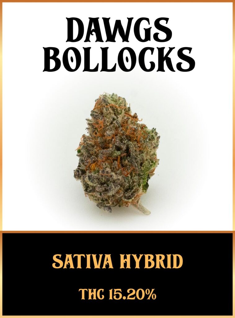 Dawgs Bollocks