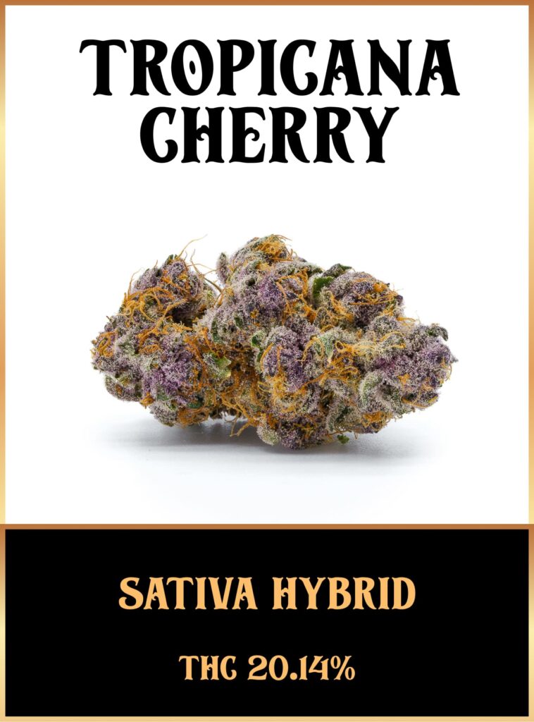 Tropicana Cherry