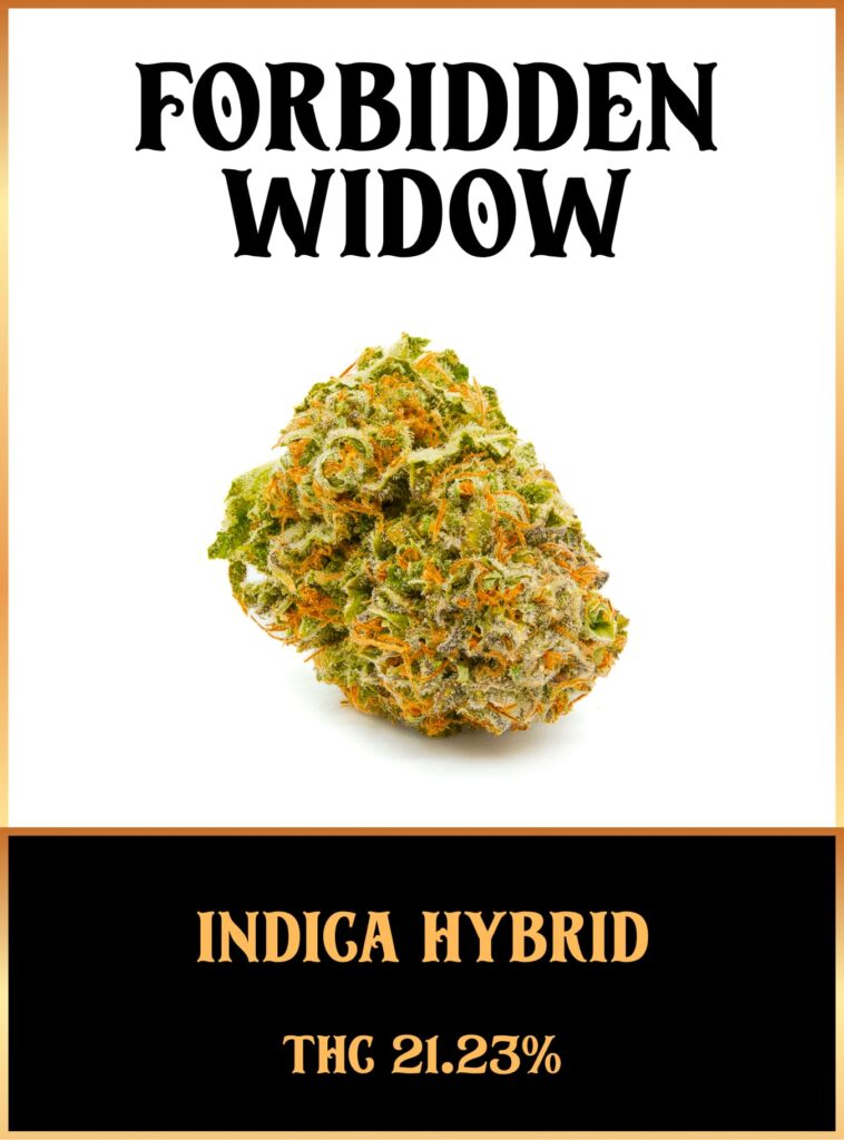 Forbidden widow