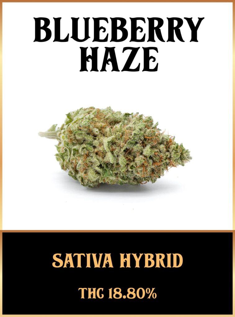 Blueberry Haze