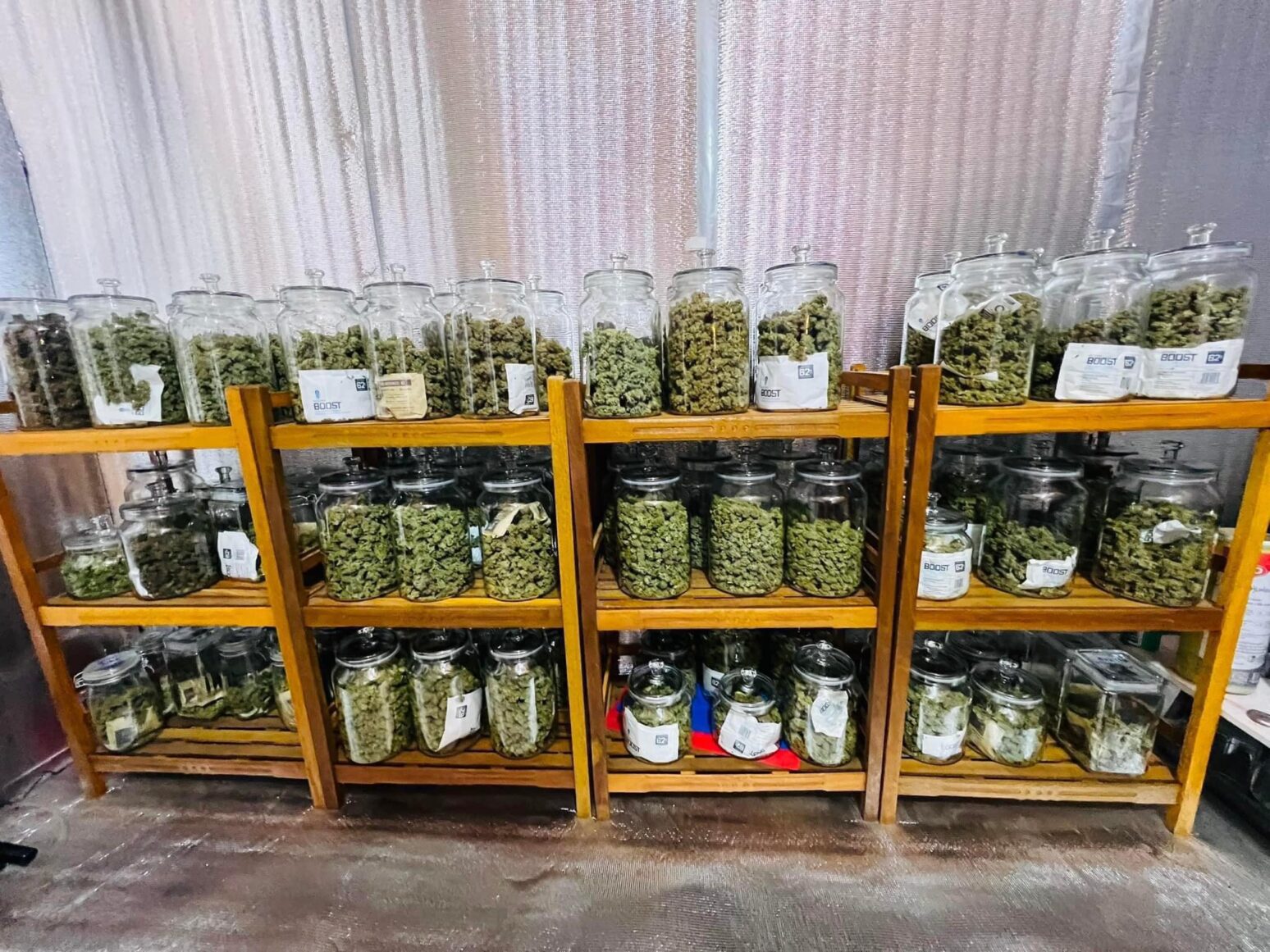 medical Marijuana Options in Bangkok