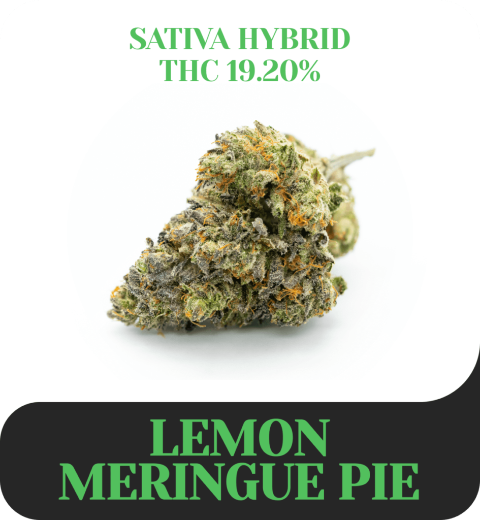 Lemon Meringue Pie