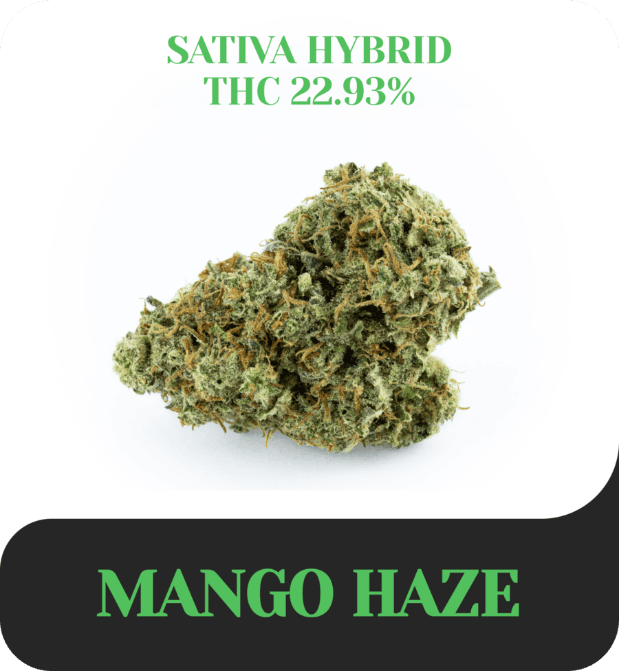 Mango Haze
