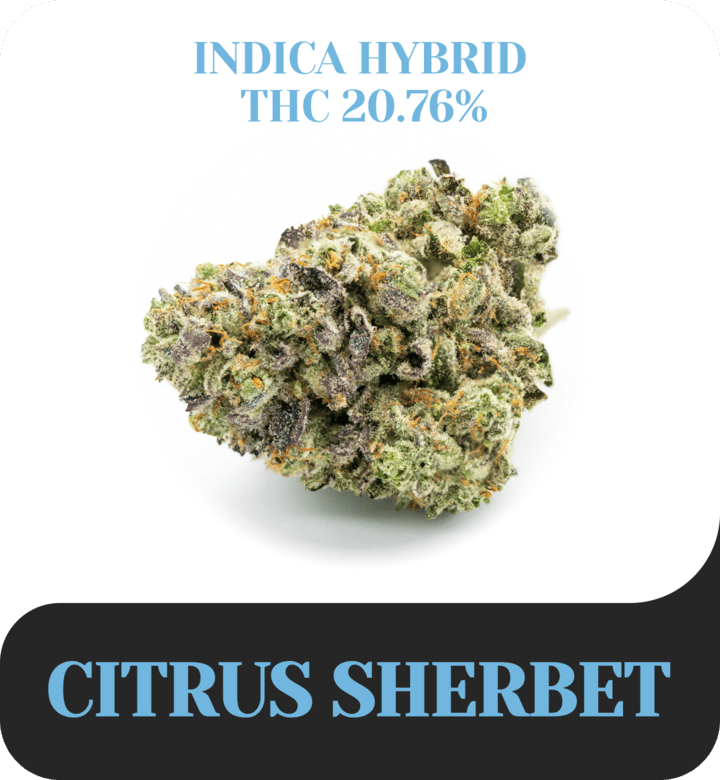 Citrus Sherbet