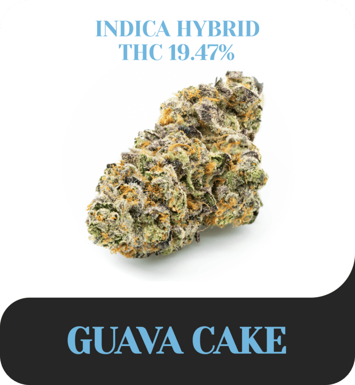 Guava Cake