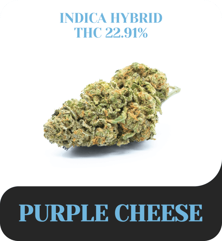Purple Cheese