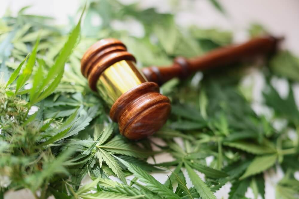 Bangkok Weed Rules in 2025