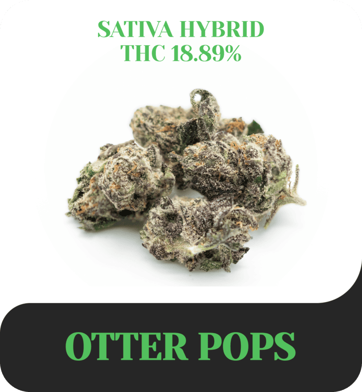 Otter Pops