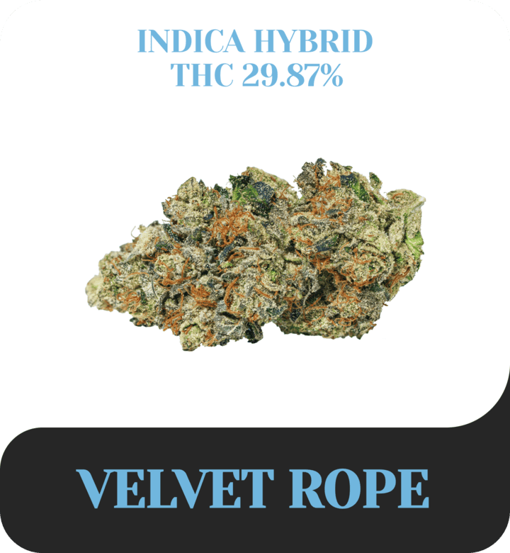 Velvet Rope