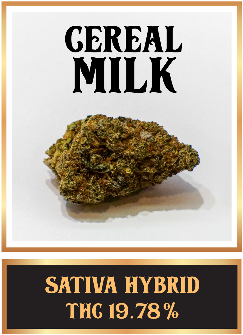 Cereal milk cannabis