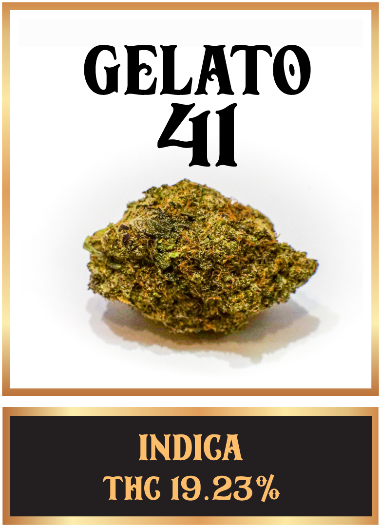 getato 41 cannabis