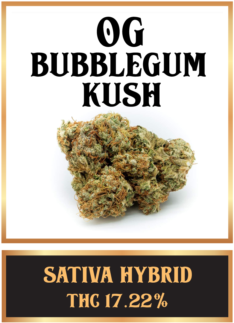 OG bubble gum Kush cannabis