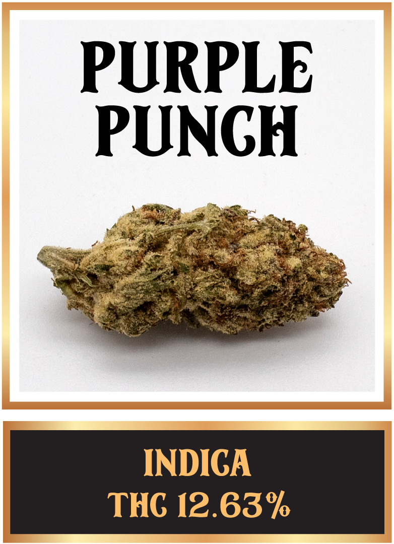 Purple punch cannabis