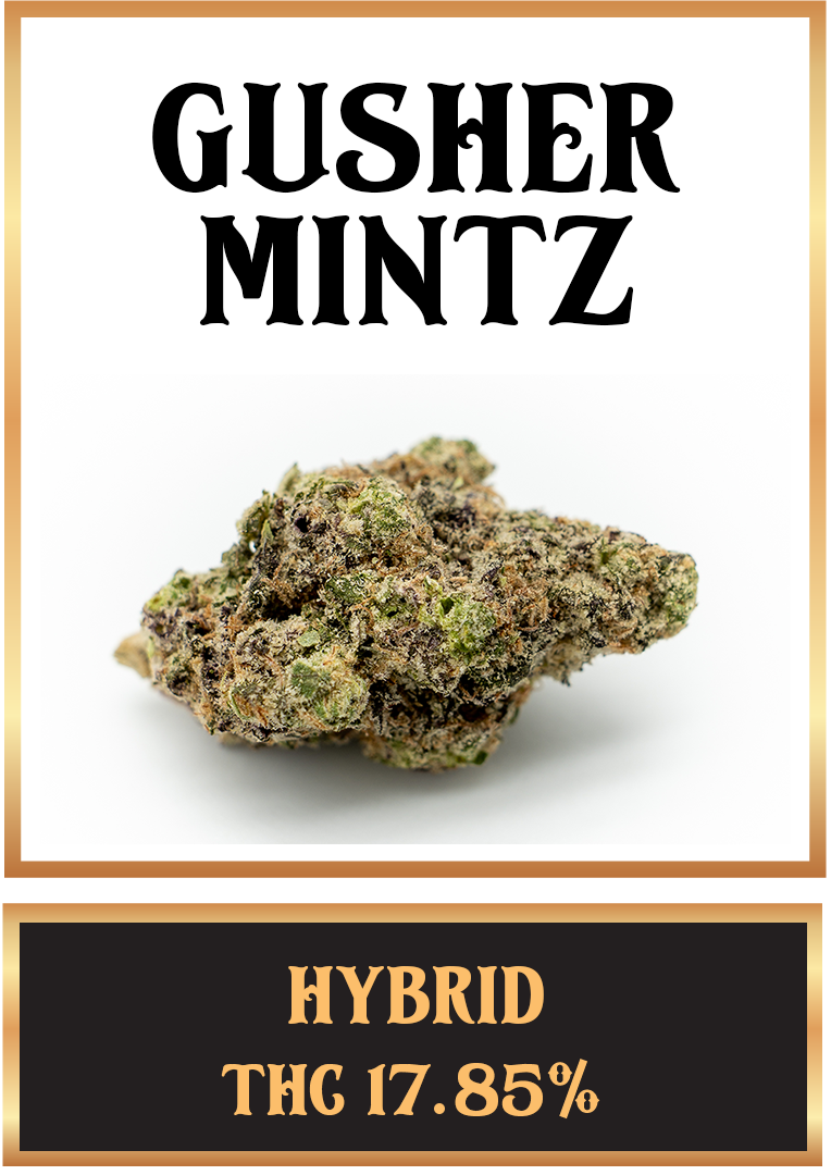 Gusher Mintz cannabis
