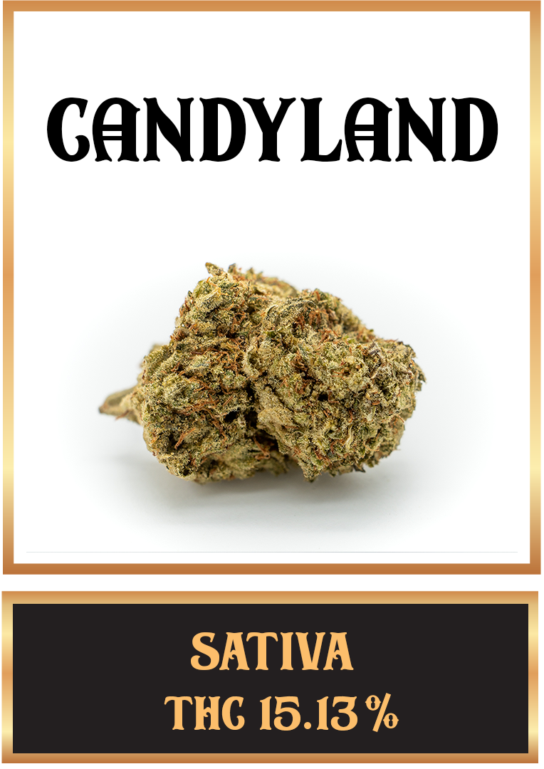 candyland cannabis