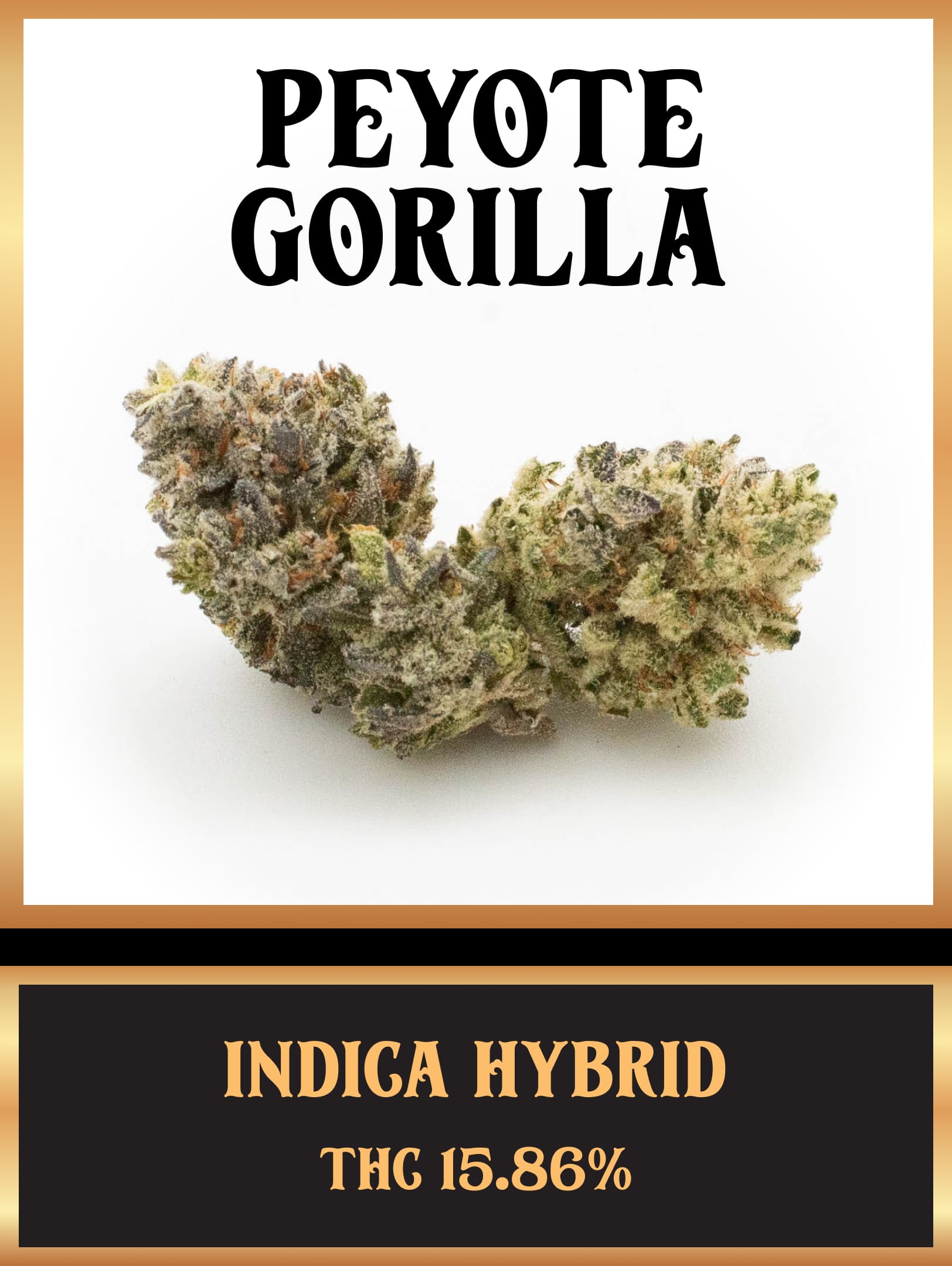 Peyote Gorilla strain