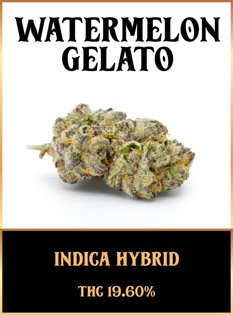 Watermelon gelato