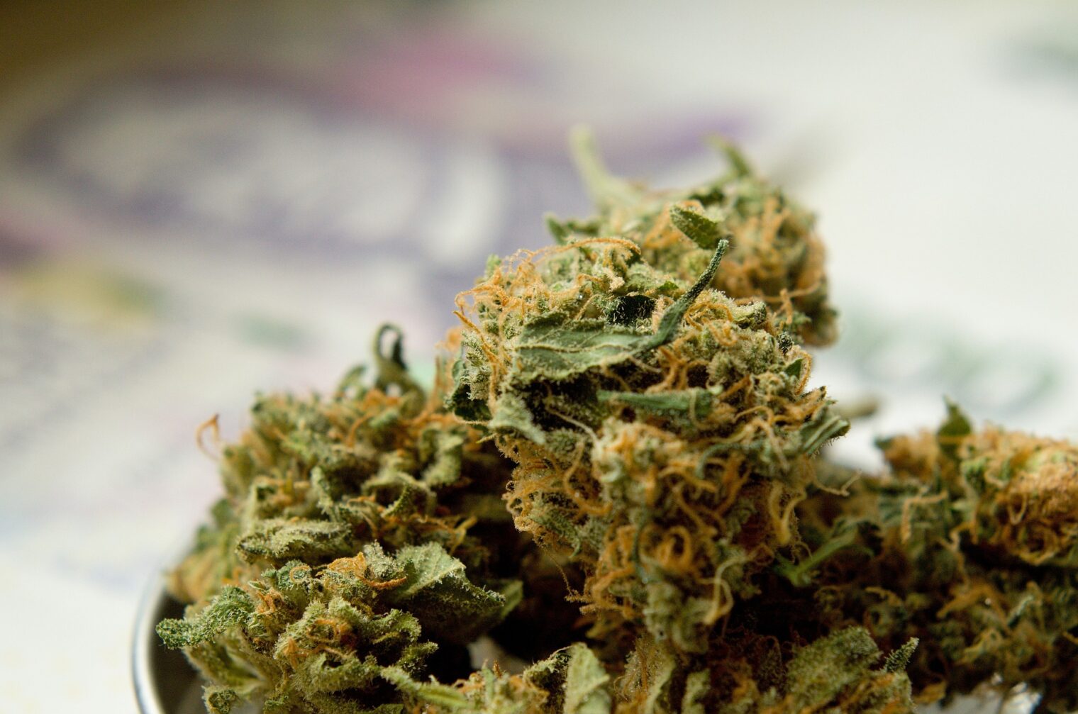 low THC cannabis strains