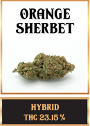 Orange Sherbet